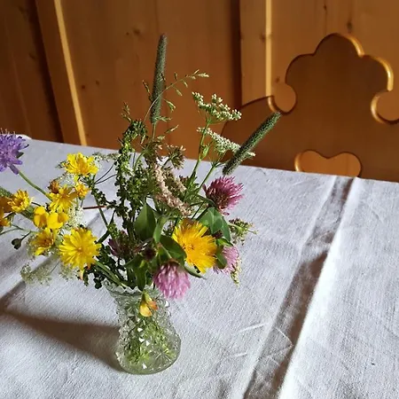 Rieserhof Appartement *