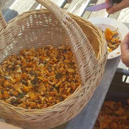 Rieserhof Appartement