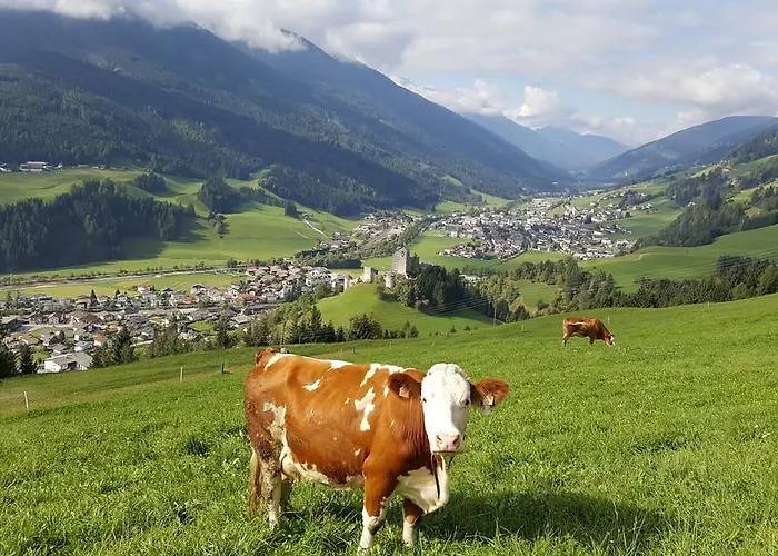 アパート Rieserhof