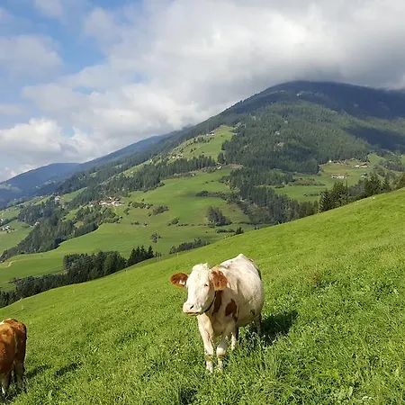 Appartamento Rieserhof Heinfels