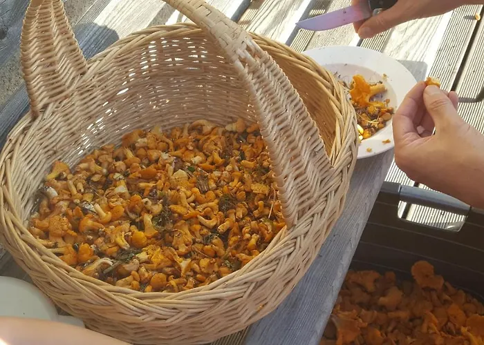 Rieserhof Appartement